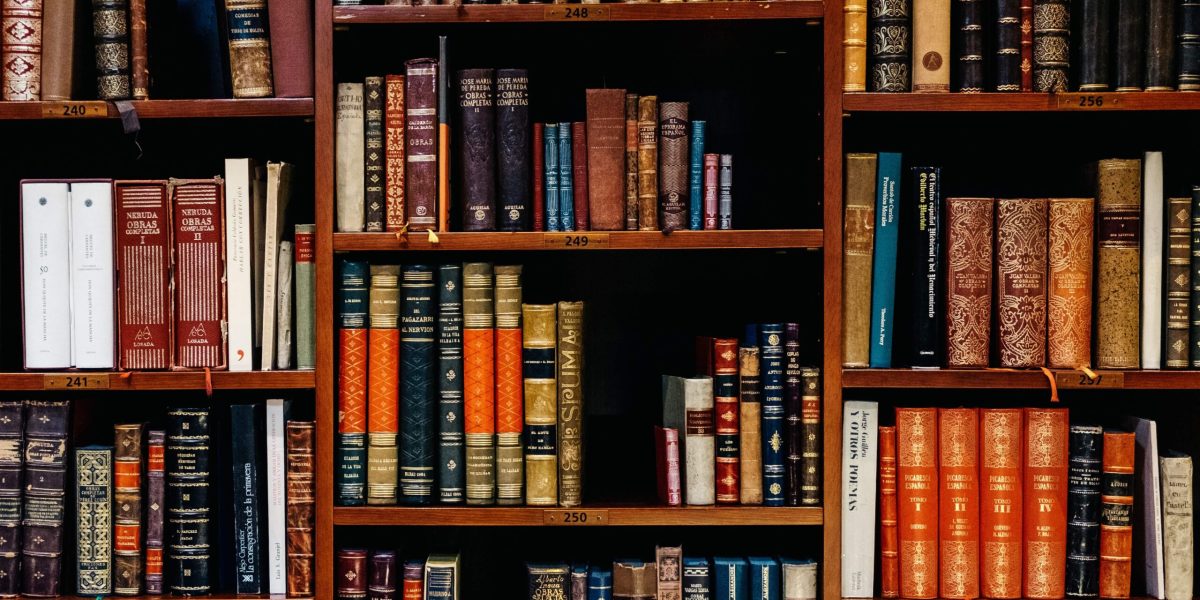 Bibliotek Bibliotek